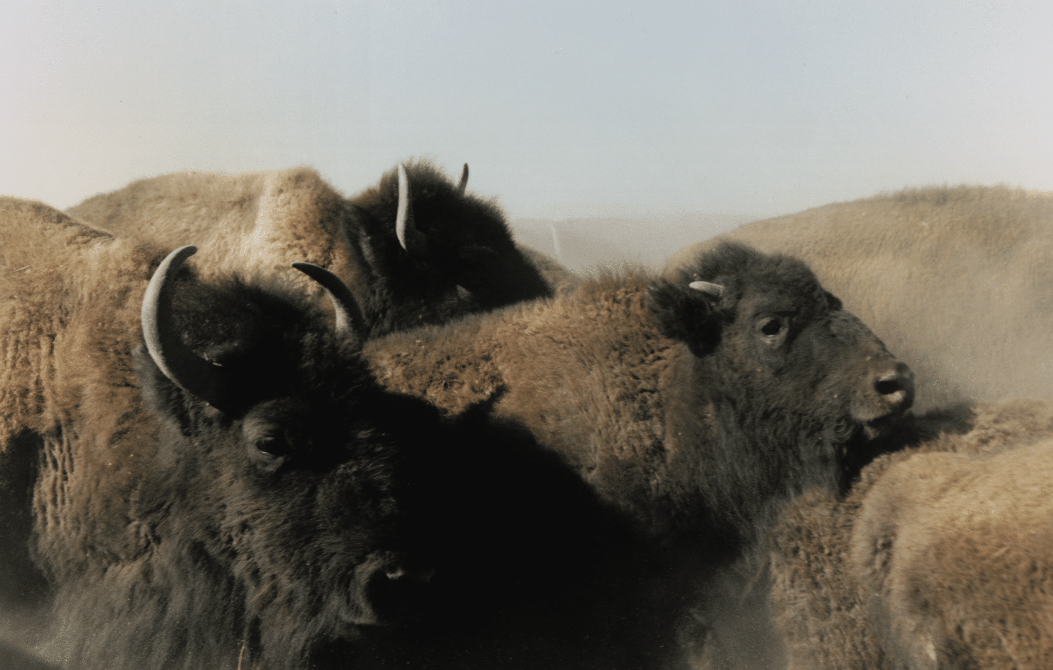 Screenshot 2024-09-19 at 6.25.56 AM